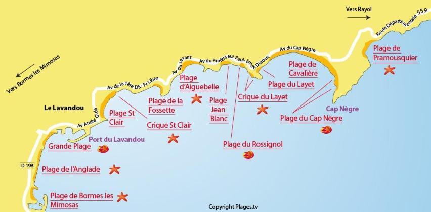 Mazet De La Mer 54M2 Lavandou 100M Plage Avec Piscine Le Lavandou Exterior photo